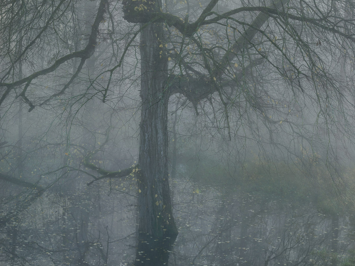 Michael Lange - FLUSS