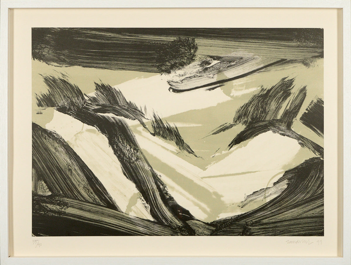 Robert Zandvliet – Dutch Dune Landscape