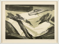 Robert Zandvliet – Dutch Dune Landscape