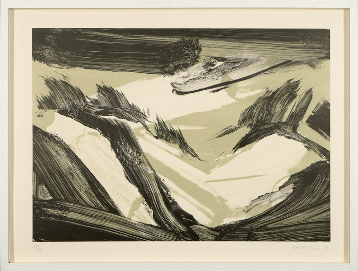 Robert Zandvliet – Dutch Dune Landscape