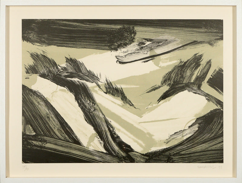 Robert Zandvliet – Dutch Dune Landscape