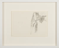 Joseph Beuys – Codices Madrid von Leonardo da Vinci I