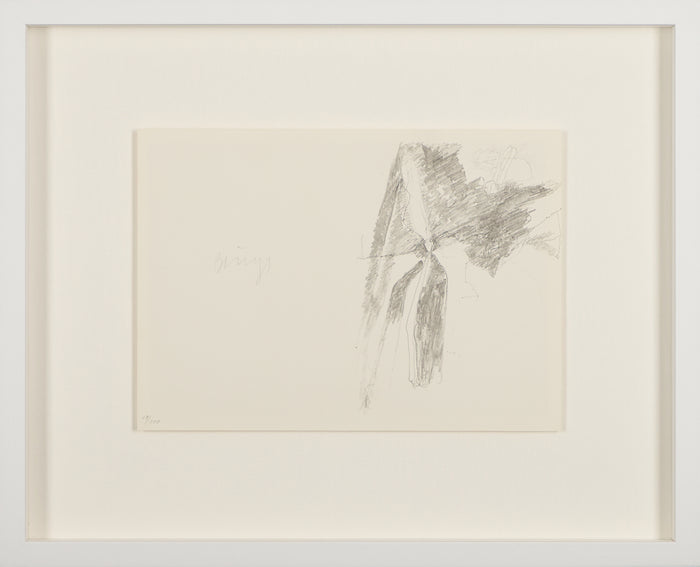 Joseph Beuys – Codices Madrid von Leonardo da Vinci I