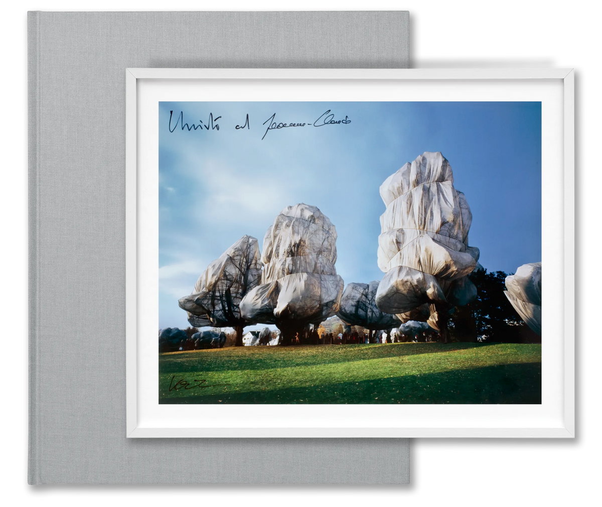 Christo and Jeanne-Claude - Wrapped Trees - Basel 1997–1998