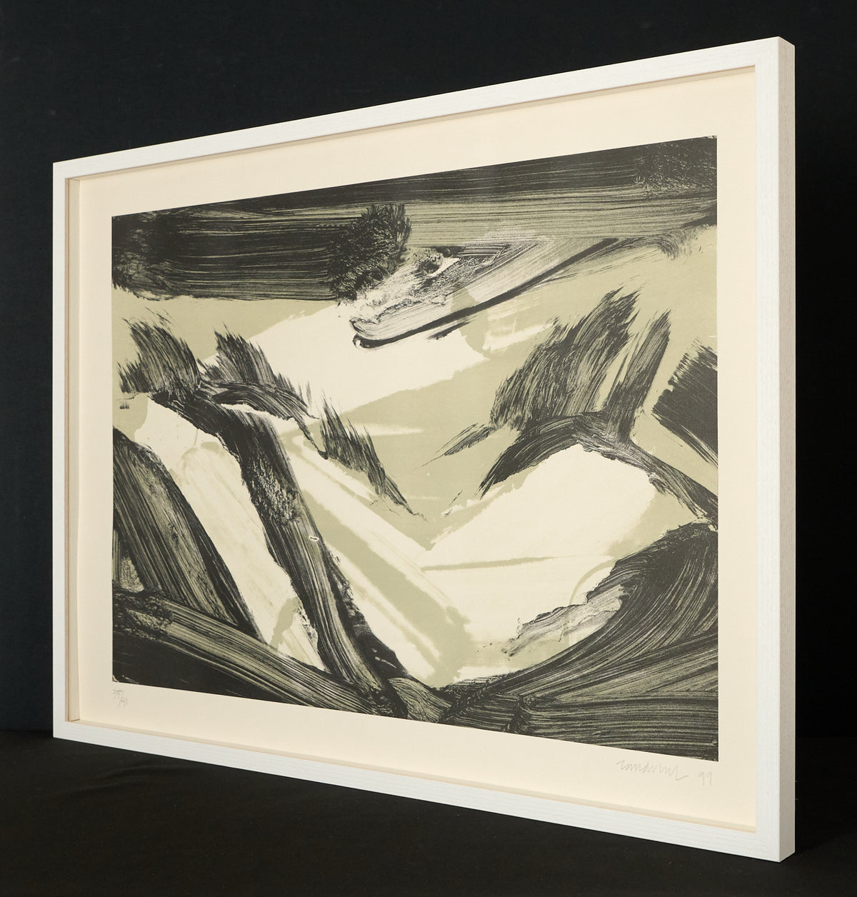 Robert Zandvliet – Dutch Dune Landscape