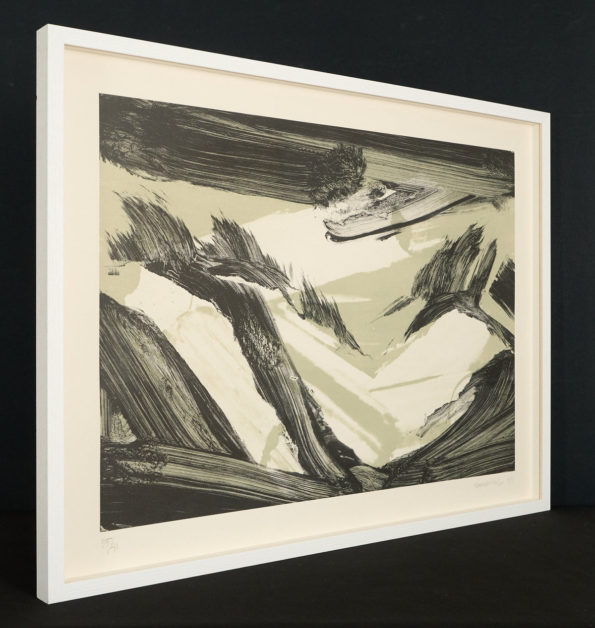 Robert Zandvliet – Dutch Dune Landscape