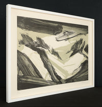 Robert Zandvliet – Dutch Dune Landscape