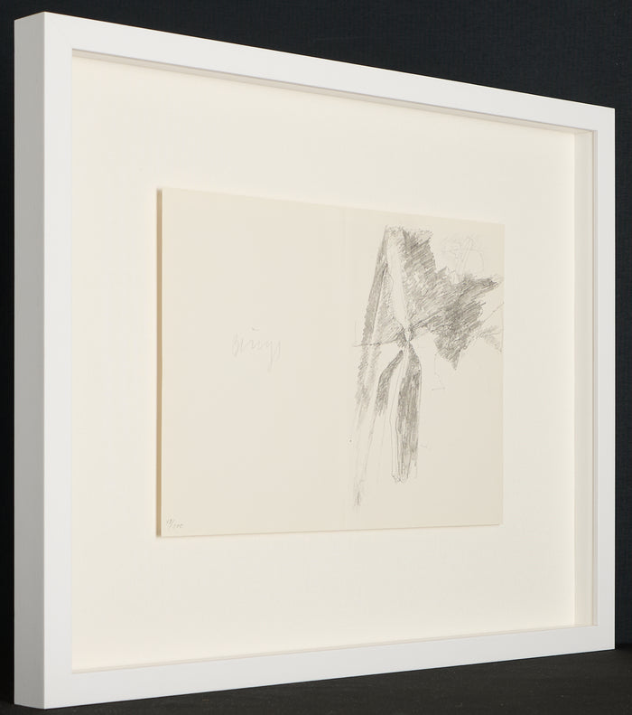 Joseph Beuys – Codices Madrid von Leonardo da Vinci I