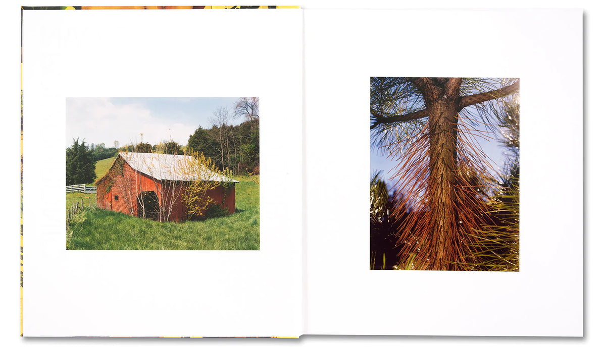 Roe Ethridge - AMERICAN POLYCHRONIC