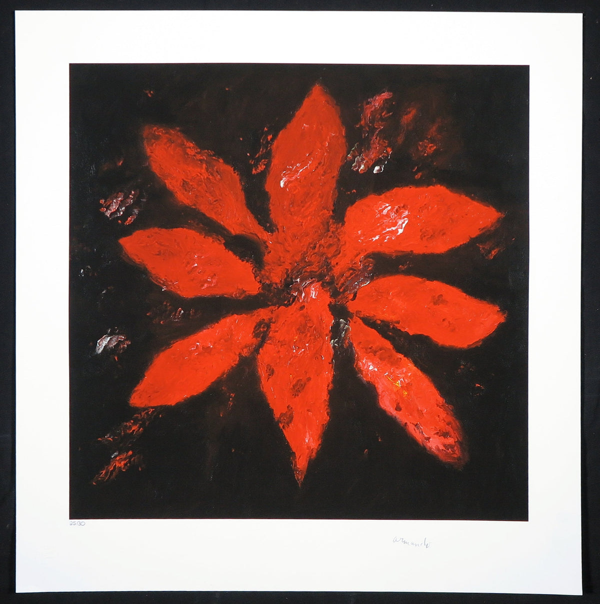 Armando – giclée print