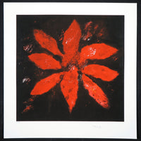 Armando – giclée print