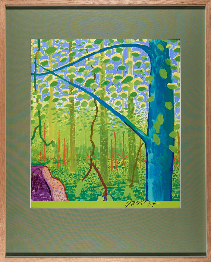 David Hockney - Astray