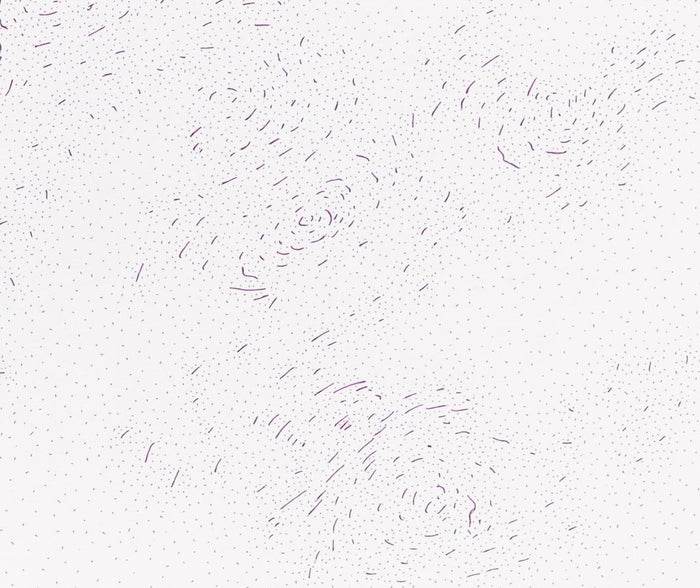 Dadamaino – Drawing in ink