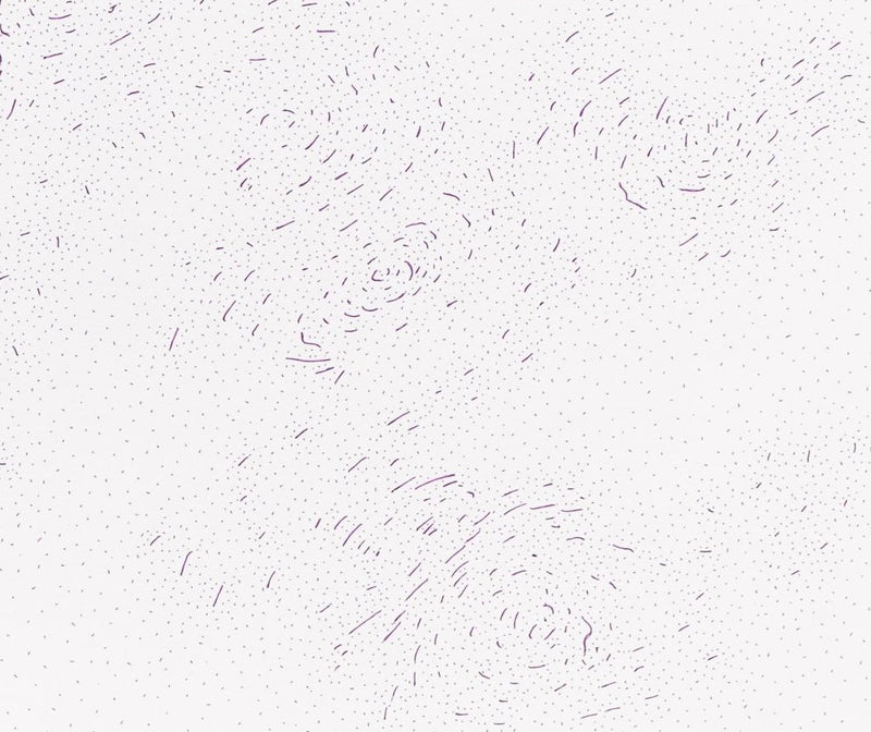 Dadamaino – Drawing in ink