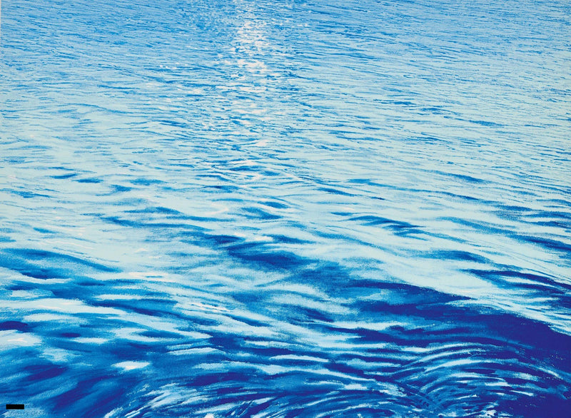 Franz Gertsch – Blaues Meer