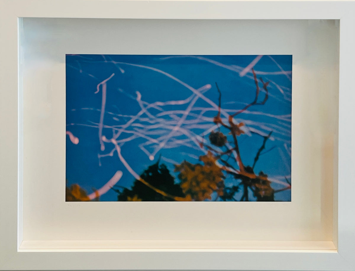 Gerhard Richter – Rare Colour Offset Lithograph
