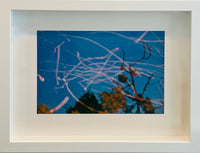 Gerhard Richter – Rare Colour Offset Lithograph