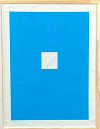 BANKSY - Set of Two DIRTY FUNKER