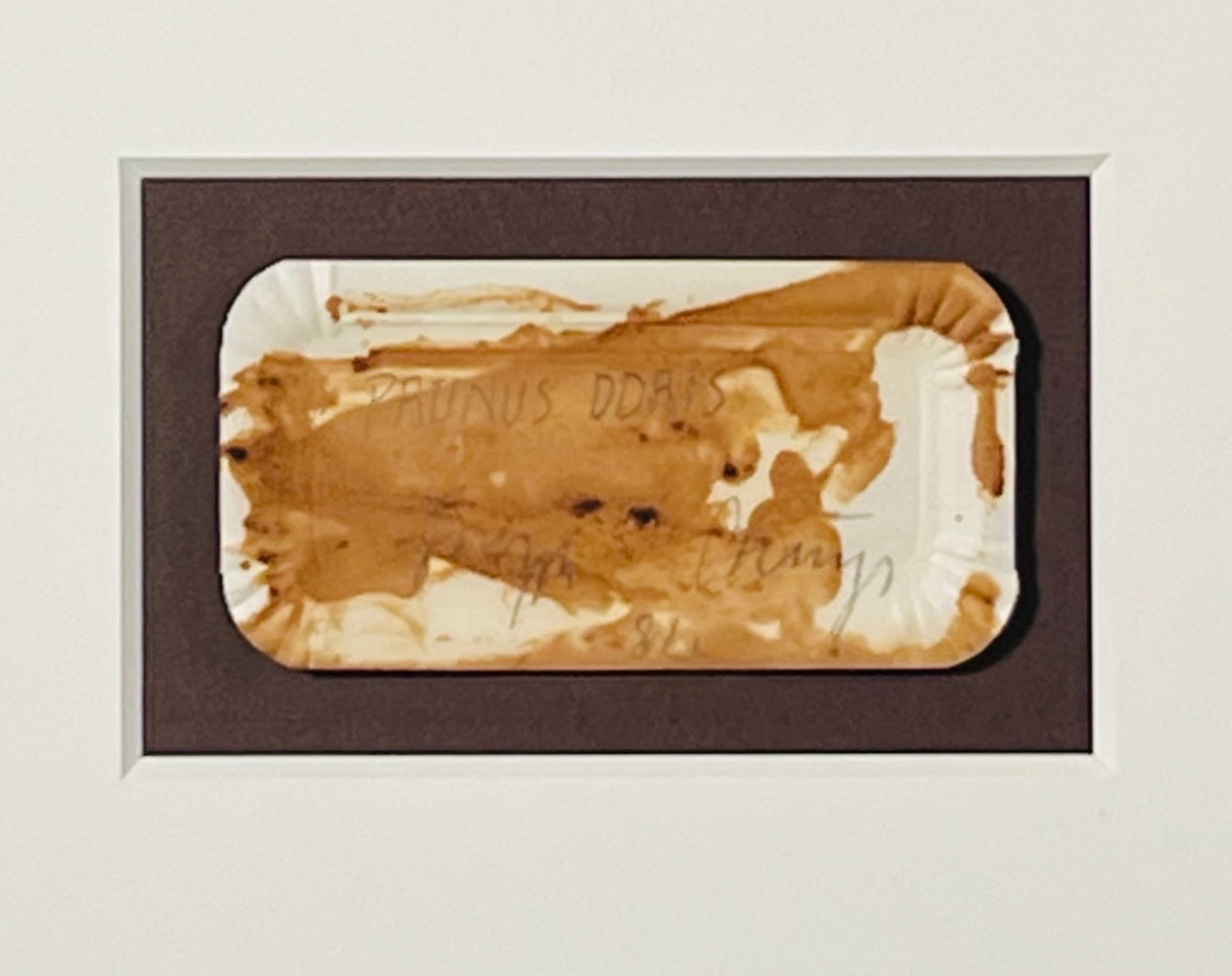 Joseph Beuys - Original PRUNUS DDRIS