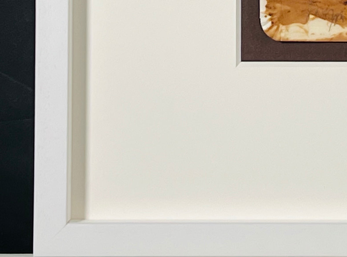 Joseph Beuys - Original PRUNUS DDRIS