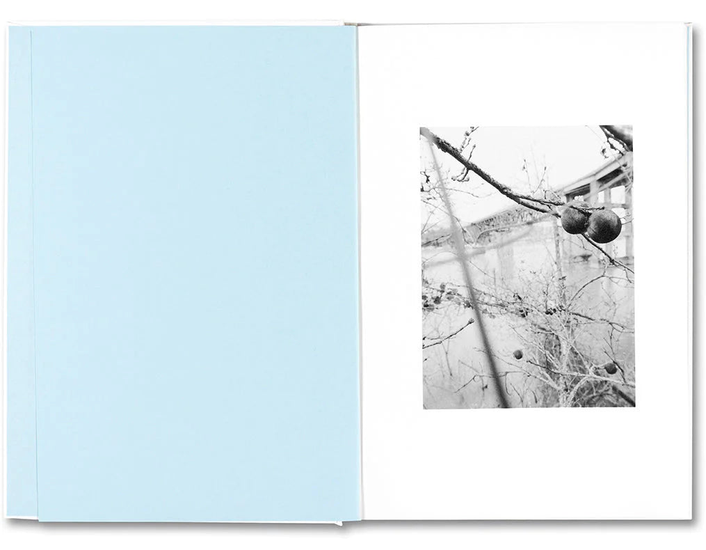 Raymond Meeks - Somersault