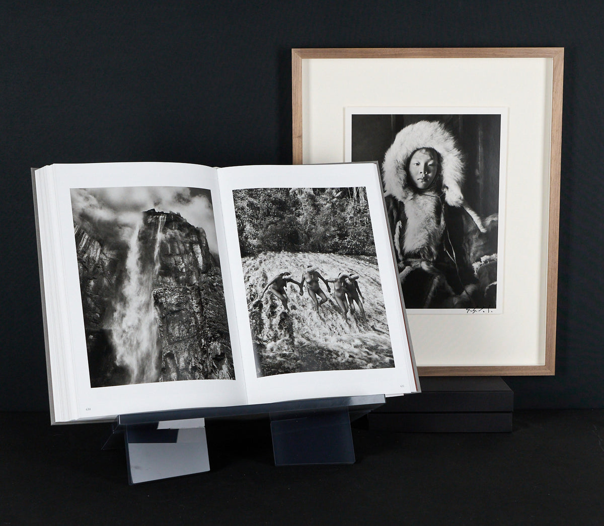 Sebastião Salgado – Genesis - Signed Art Print with Art Book