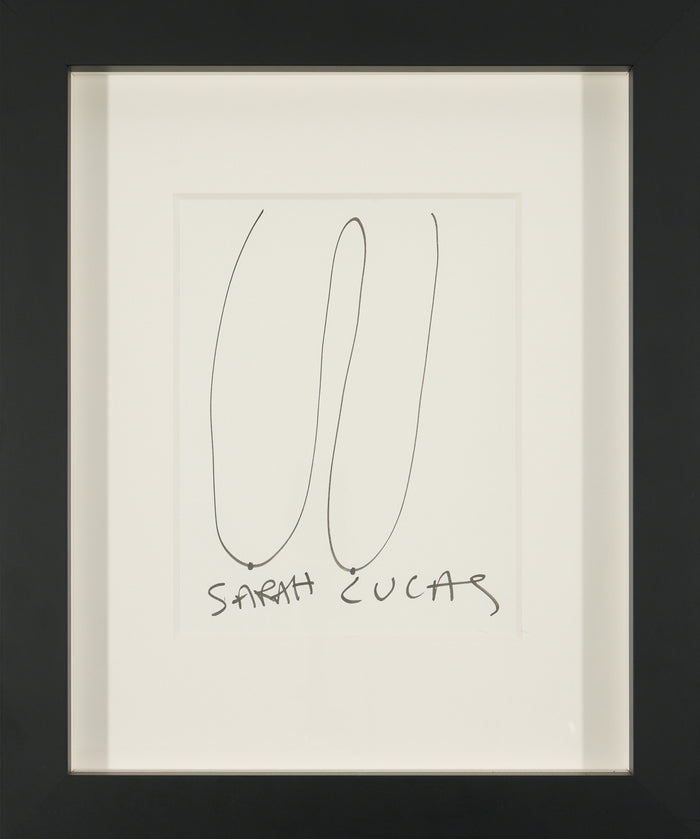 Sarah Lucas - Drawing