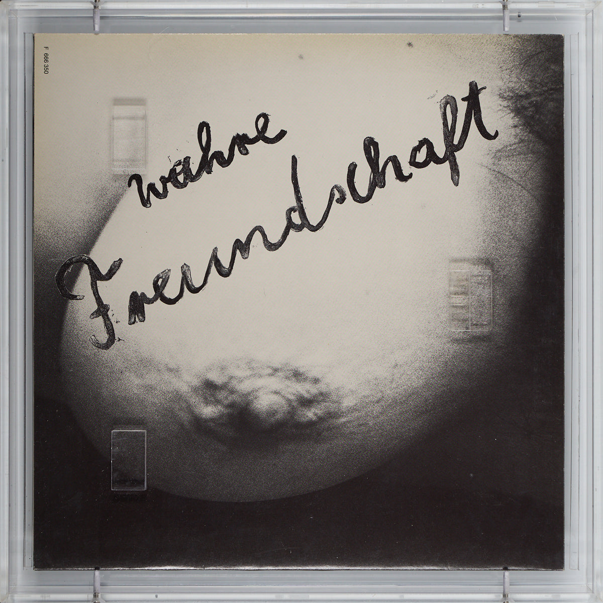 Valie Export - Cover Art : Wahre Freundschaft