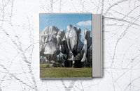 Christo and Jeanne-Claude - Wrapped Trees - Basel 1997–1998