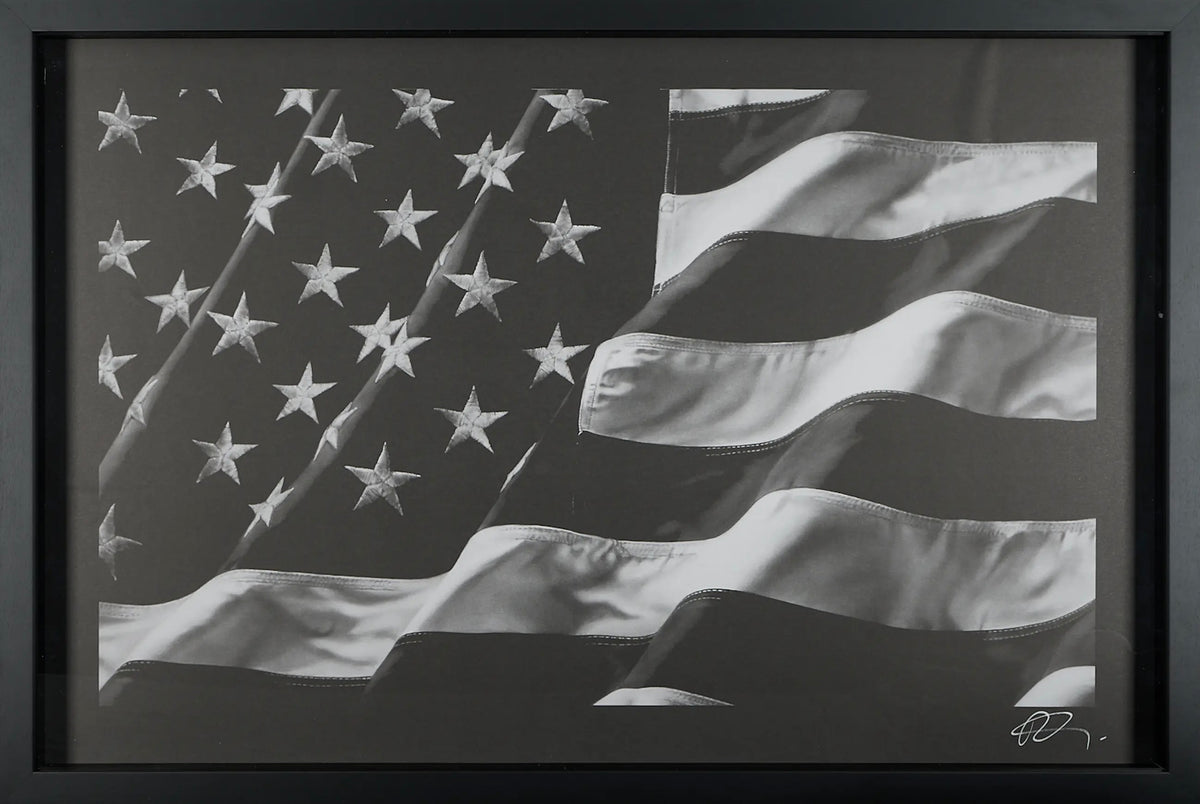 Robert Longo – The American Flag