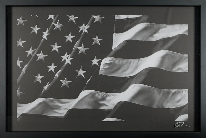 Robert Longo – The American Flag