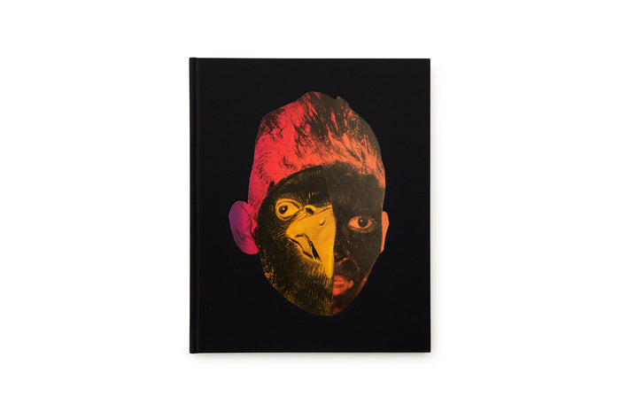 Vasantha Yogananthan - Afterlife