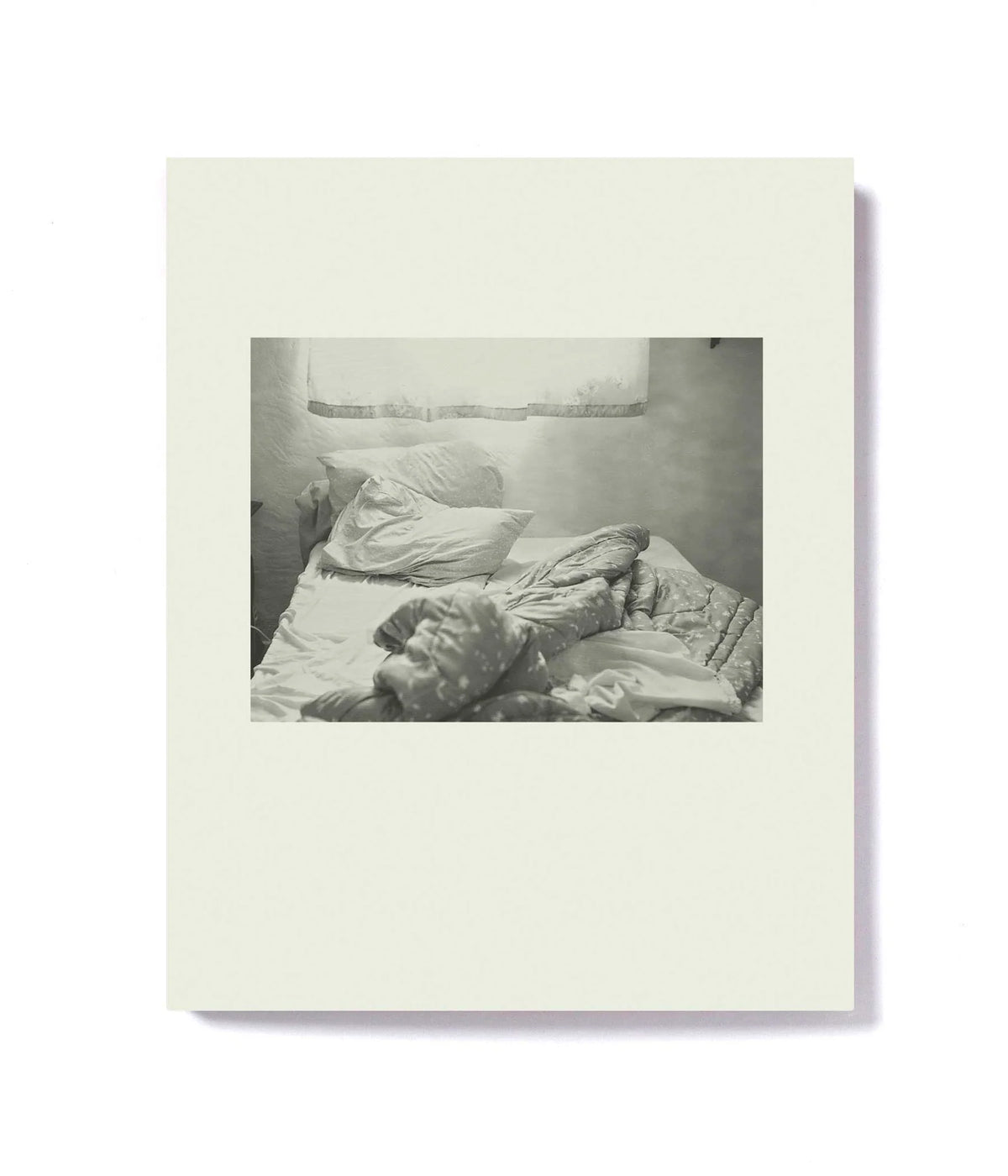 TENDER | CARLA WILLIAMS