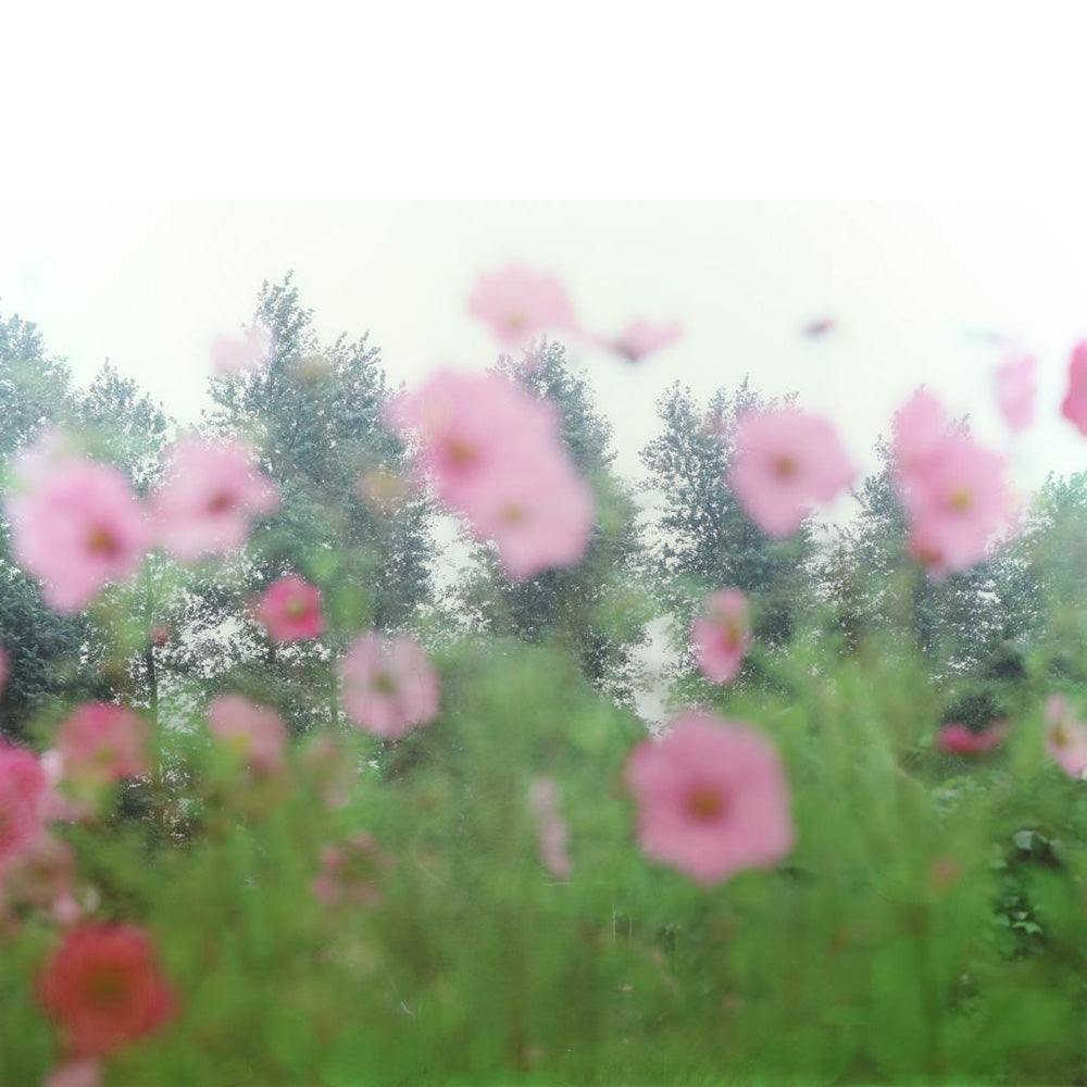 Marnix Goossens (1967) - Flevotuinen