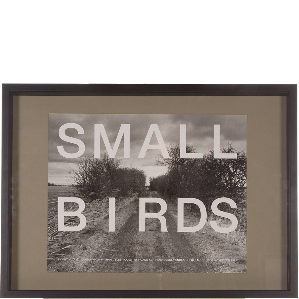 Hamish Fulton - Small Birds