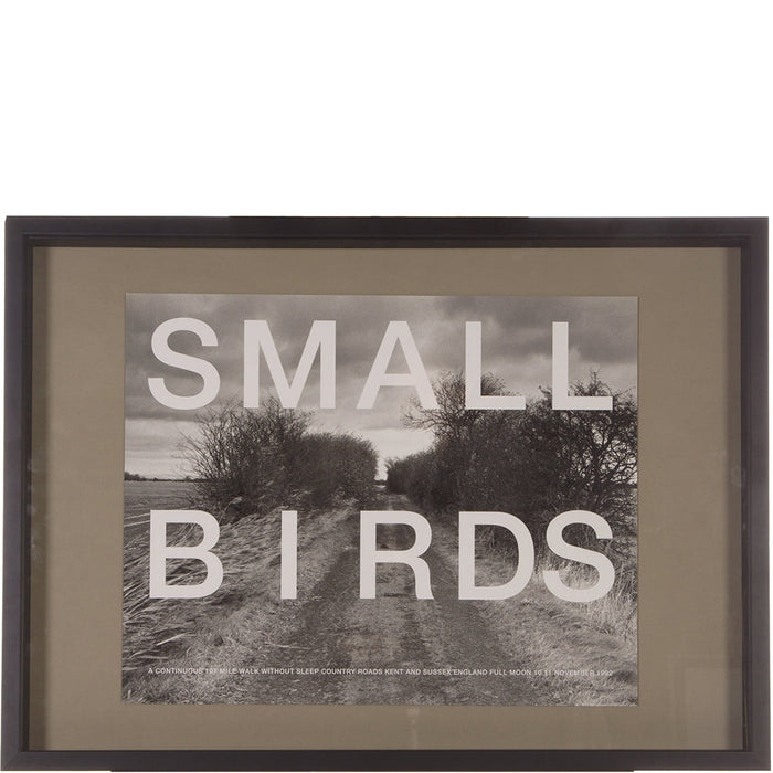 Hamish Fulton - Small Birds