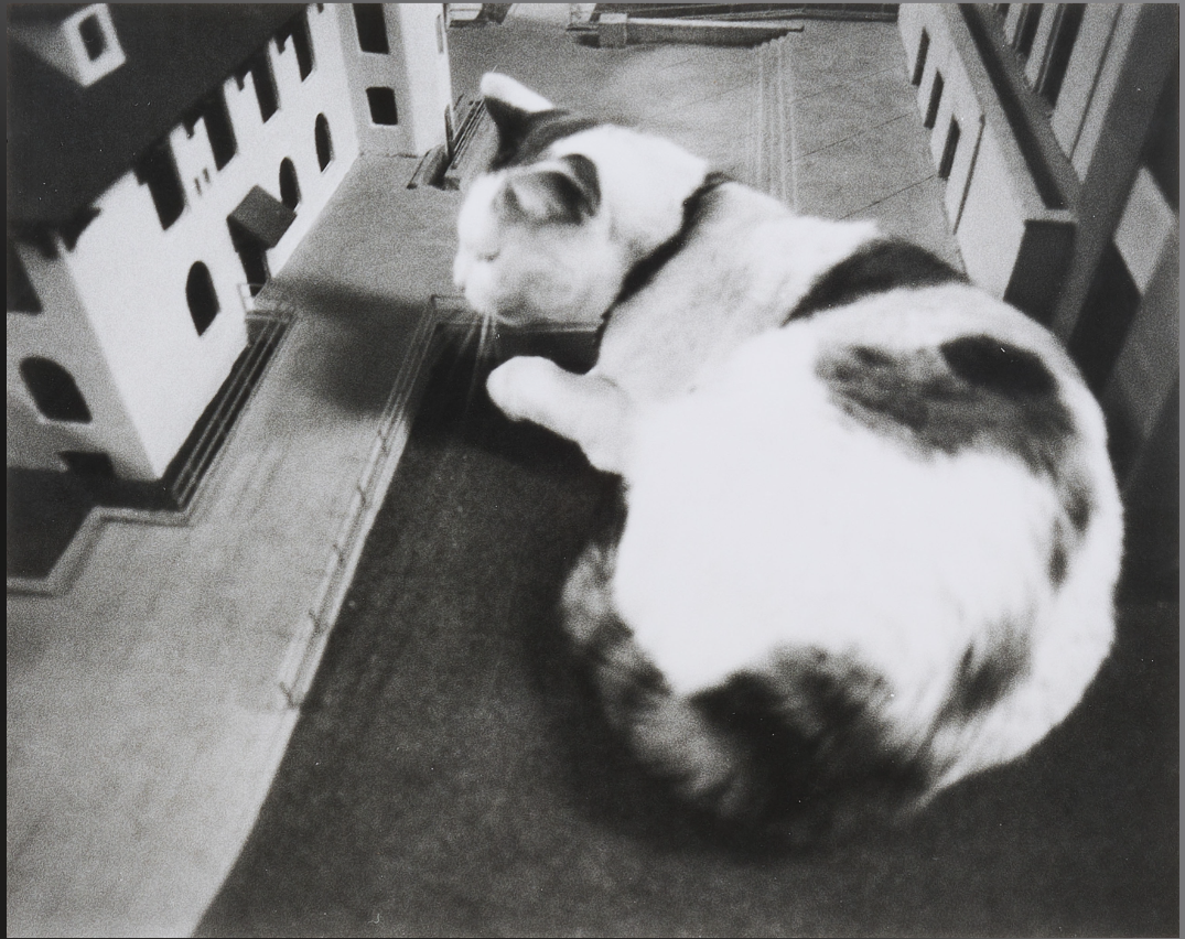 Vito Acconci - No one in the Plaza