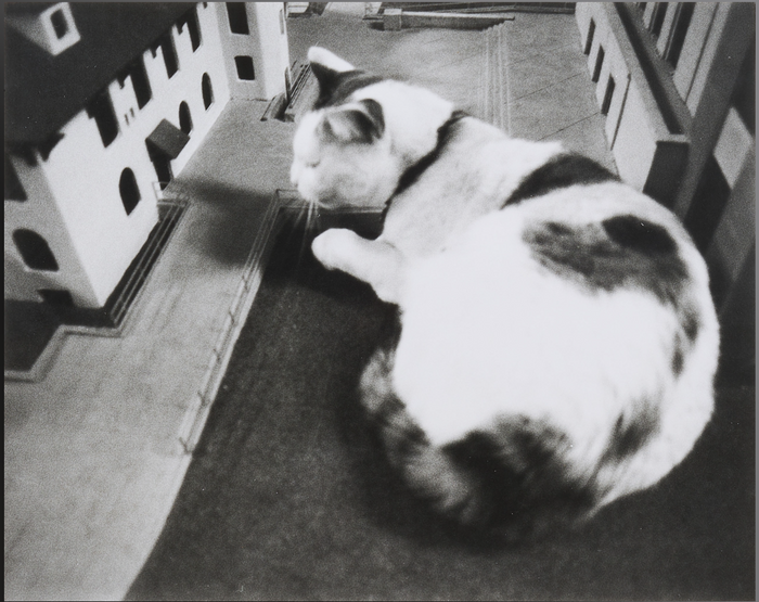 Vito Acconci - No one in the Plaza