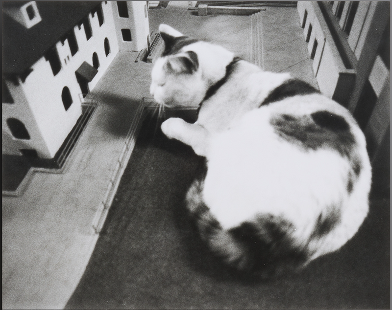 Vito Acconci - No one in the Plaza